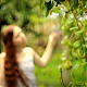 vlcsnap-2014-10-25-18h49m31s9.png