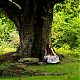 vlcsnap-2014-10-25-18h50m52s53.png