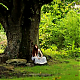 vlcsnap-2014-10-25-18h51m24s119.png