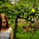 vlcsnap-2014-10-25-18h52m41s117.png