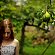 vlcsnap-2014-10-25-18h55m04s4.png