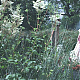 vlcsnap-2014-10-23-21h00m39s9.png