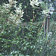 vlcsnap-2014-10-23-21h01m47s172.png