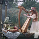 vlcsnap-2014-10-23-21h02m38s169.png