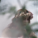vlcsnap-2014-10-23-21h03m55s175.png