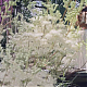 vlcsnap-2014-10-23-21h04m12s86.png
