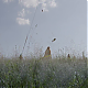 vlcsnap-2014-10-23-21h06m05s194.png