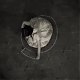 vlcsnap-2014-10-24-13h36m20s9.png