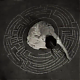 vlcsnap-2014-10-24-13h38m52s238.png