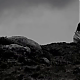 vlcsnap-2014-10-24-13h09m47s197.png