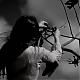 vlcsnap-2014-10-24-13h10m04s115.png