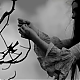 vlcsnap-2014-10-24-13h10m09s166.png