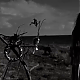 vlcsnap-2014-10-24-13h13m12s203.png