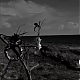 vlcsnap-2014-10-24-13h13m24s64.png