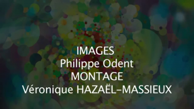 Cliquer pour voir l'image en taille réelle