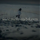 vlcsnap-2014-10-29-23h50m31s209.png